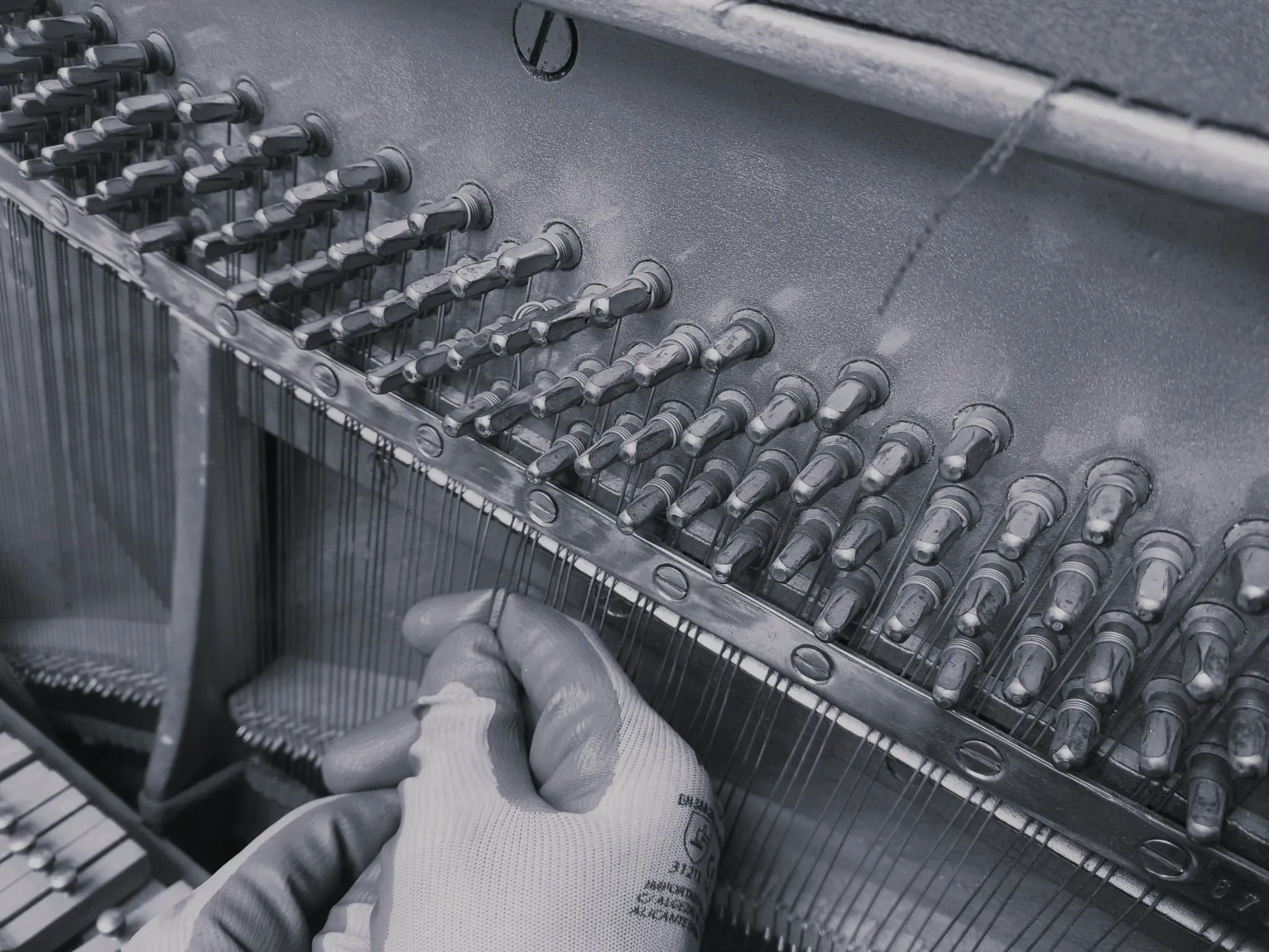Imagen de Pasión por el piano y la tecnología pianística